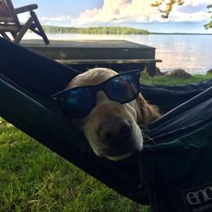 Meet your Posher, David